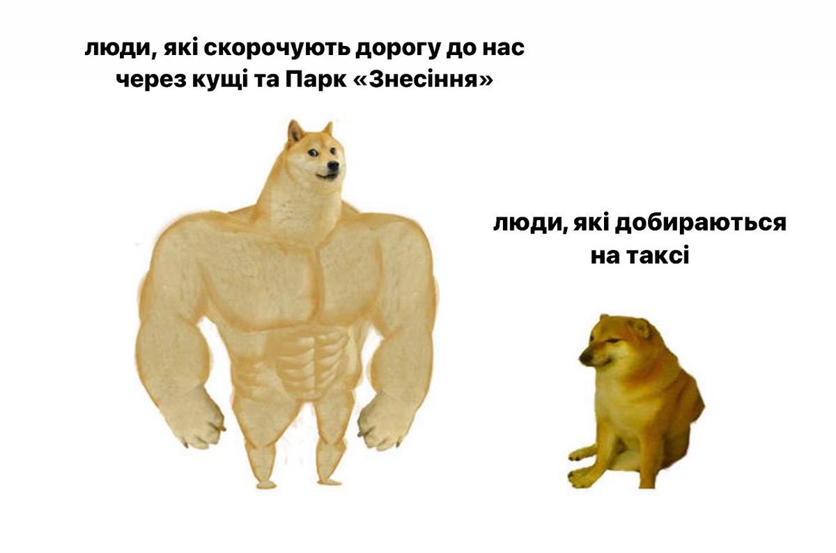 !FESTrepublic tweet media