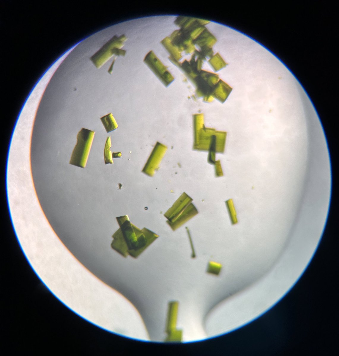 Feeling green with envy at these titanium beauties? 💚 
#crystal #titanium #RealTimeChem