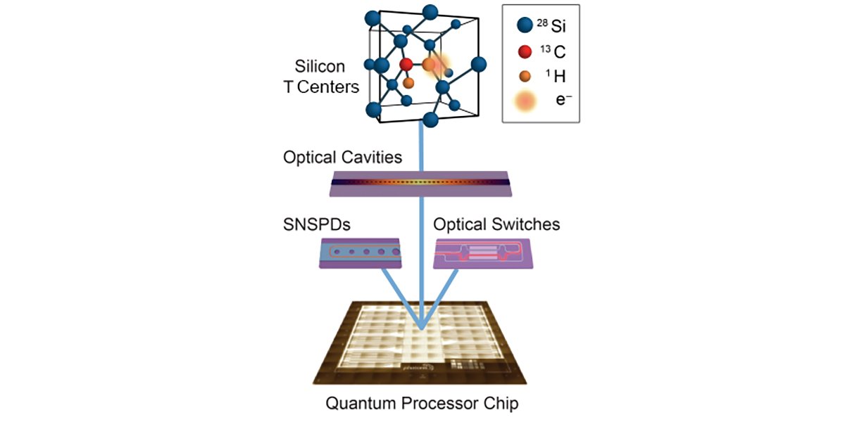 Perspective: An architecture that combines quantum networks and quantum processors into the same core entanglement distribution technology is introduced and discussed in the context of silicon color centers. @TeamPhotonic @quantumstef go.aps.org/43eqanO