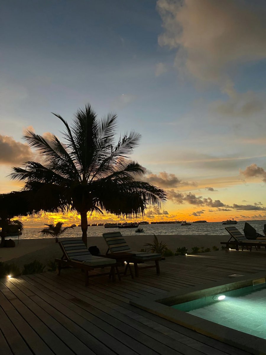 Sakurai Beata (@yujie64beata) on Twitter photo 