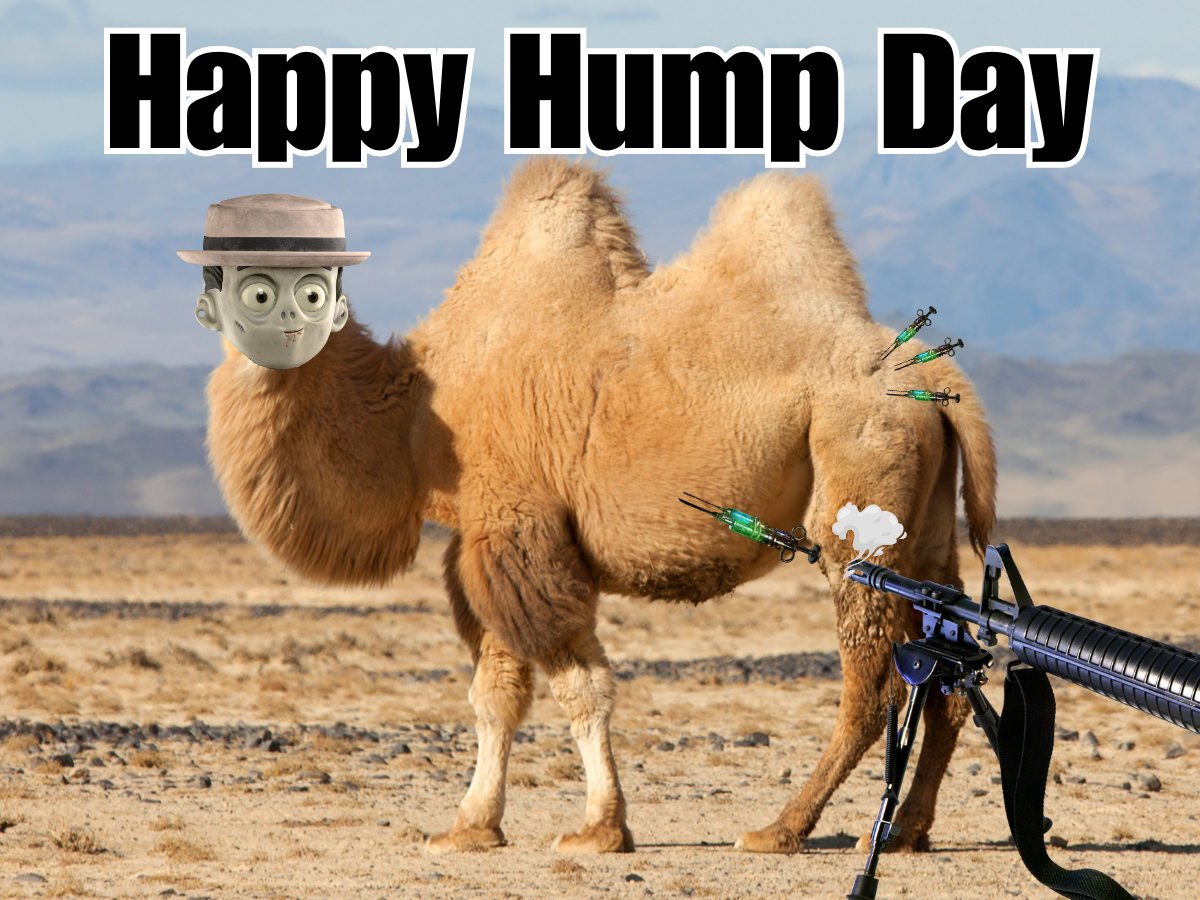 bRAinZbRidGe 🎓 tweet media