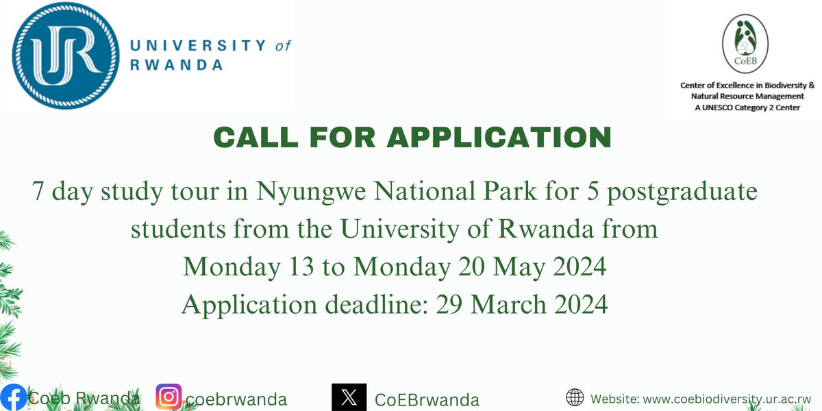 🚨UPDATES📷 The @CoEBrwanda in partnership with @Yale invites applications for a 7-day study tour in @NyungwePark Are you a Rwandan masters or PhD student passionate about conservation? Apply now to be part of this transformative journey! For more visit: coebiodiversity.ur.ac.rw