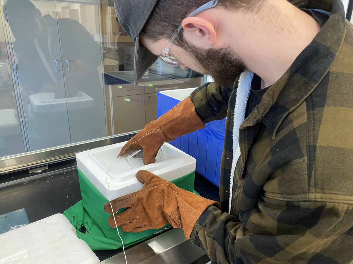 ifoggs's tweet photo. @HTHS_NB measuring how well the insulation will protect the electronics from the cold of space for the #eclipse balloon by using dry ice at -78oC. @brilliant_labs @AnglophoneEast https://t.co/QdpA5pSvl5