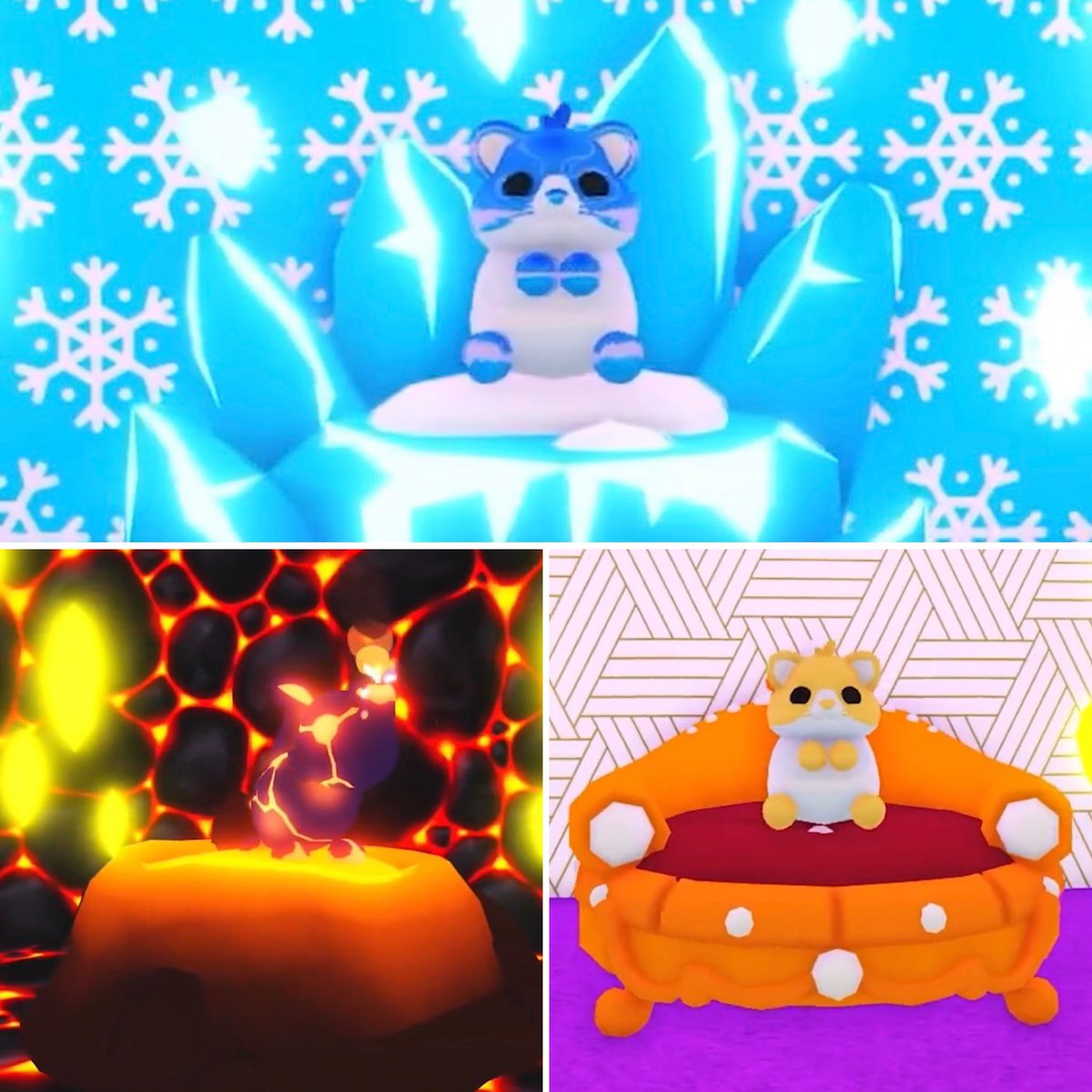 RoMomPlays's tweet image. Adopt Me update chat… The hamsters look cute but there have been a lot of cute little guys like that. Nothing new there. 

But I really like the varied pet stands. They’ll probably be super expensive but will add a whole new element for design #adoptme #roblox #adoptmeupdate