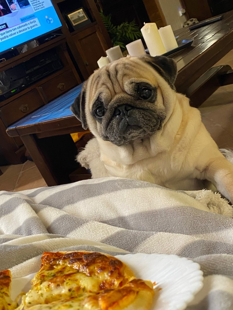 creo que quiere algo