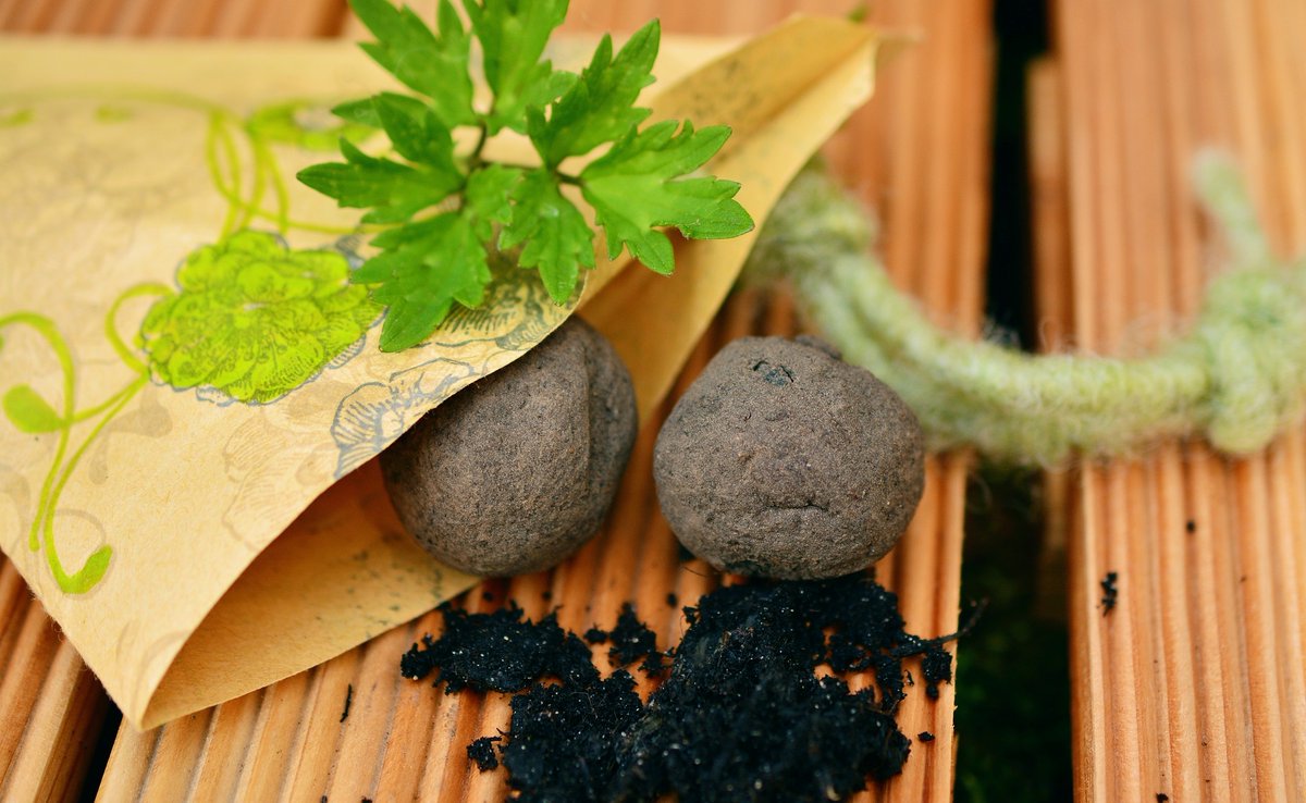 woordlicht's tweet image. Ken je zaadbommen? Die kun je zelf maken. Ga naar de webpagina moestuinierenmetkinderen.nl/gratis/ dan kun je je opgeven voor kinderactiviteiten zoals de  zaadbommen. Ga je naar De Moestuinbeurs in #Baarn? Dan help ik je ze maken met biologisch zaad! #moestuintips #moestuinieren #schooltuin