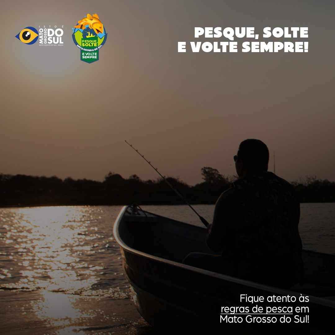 Mato Grosso do Sul tweet media