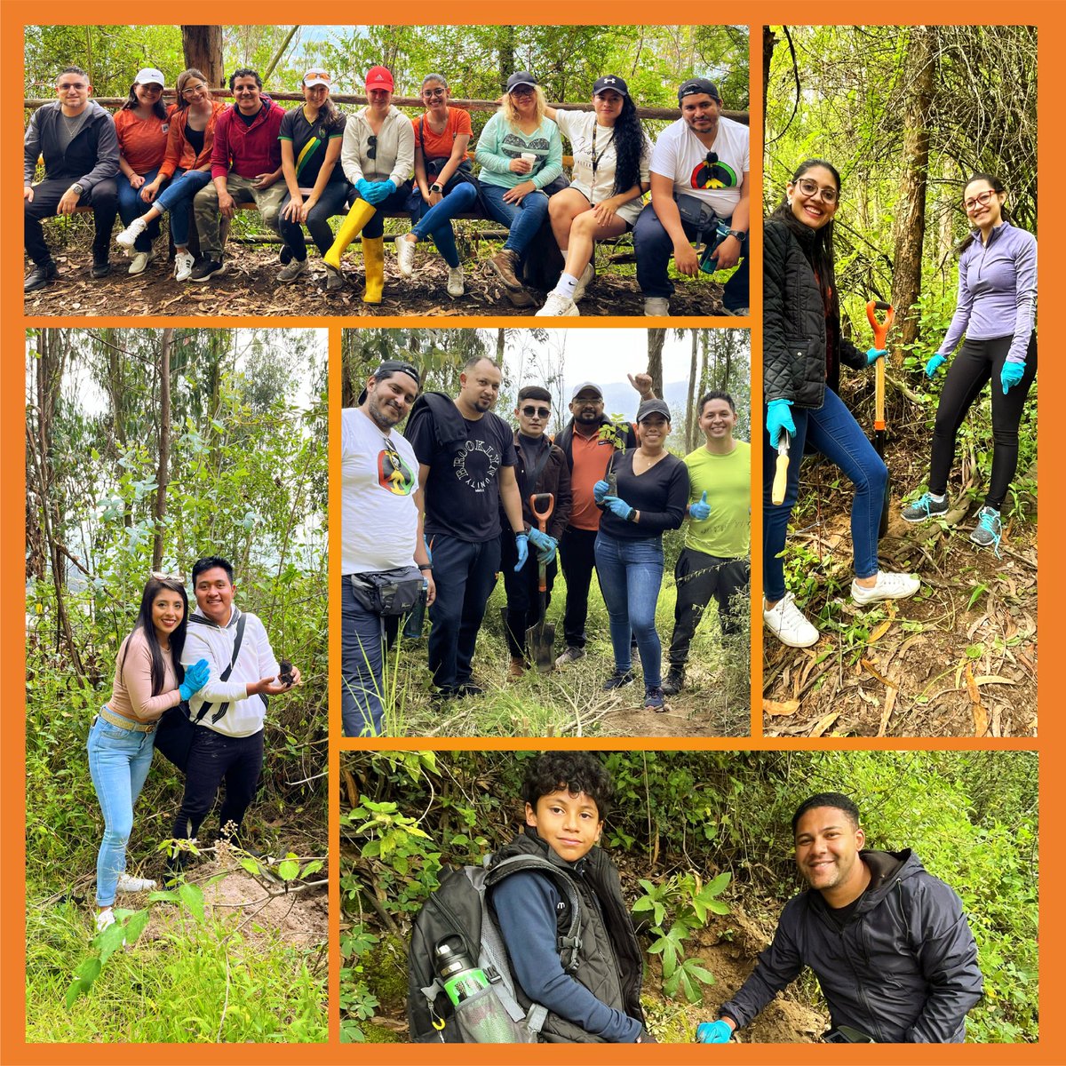 ¡Comprometidos con el cuidado del medio ambiente! Agradecemos la participación de los colaboradores de nuestro voluntariado corporativo 'Conectamos'. Gracias a su apoyo, logramos sembrar 1000 árboles y plantas nativas en el Bosque Protector Bellavista.