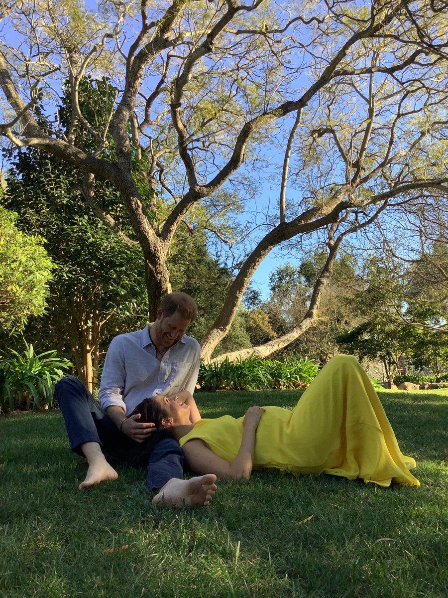 misanharriman's tweet image. The original Jpeg without the black and White grade, I expect a full apology and retraction from @MailOnline @Telegraph @victoria_ward 

No trees or meadows were moved or swapped, this is the image straight out of camera.

Also that is a Jacaranda Tree, not a willow tree.