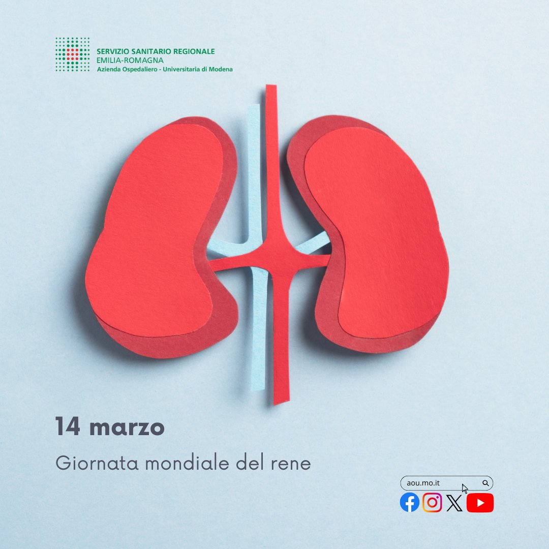 #14Marzo Giornata di screening gratuiti! Per la Giornata mondiale del #rene dalle 9:00 alle 16:00 al Centro Comm. Grandemilia i professionisti di AOU #Modena sono a tua disposizione per informazioni e screening gratuiti Scopri di più su t.ly/vMikV Ti aspettiamo!