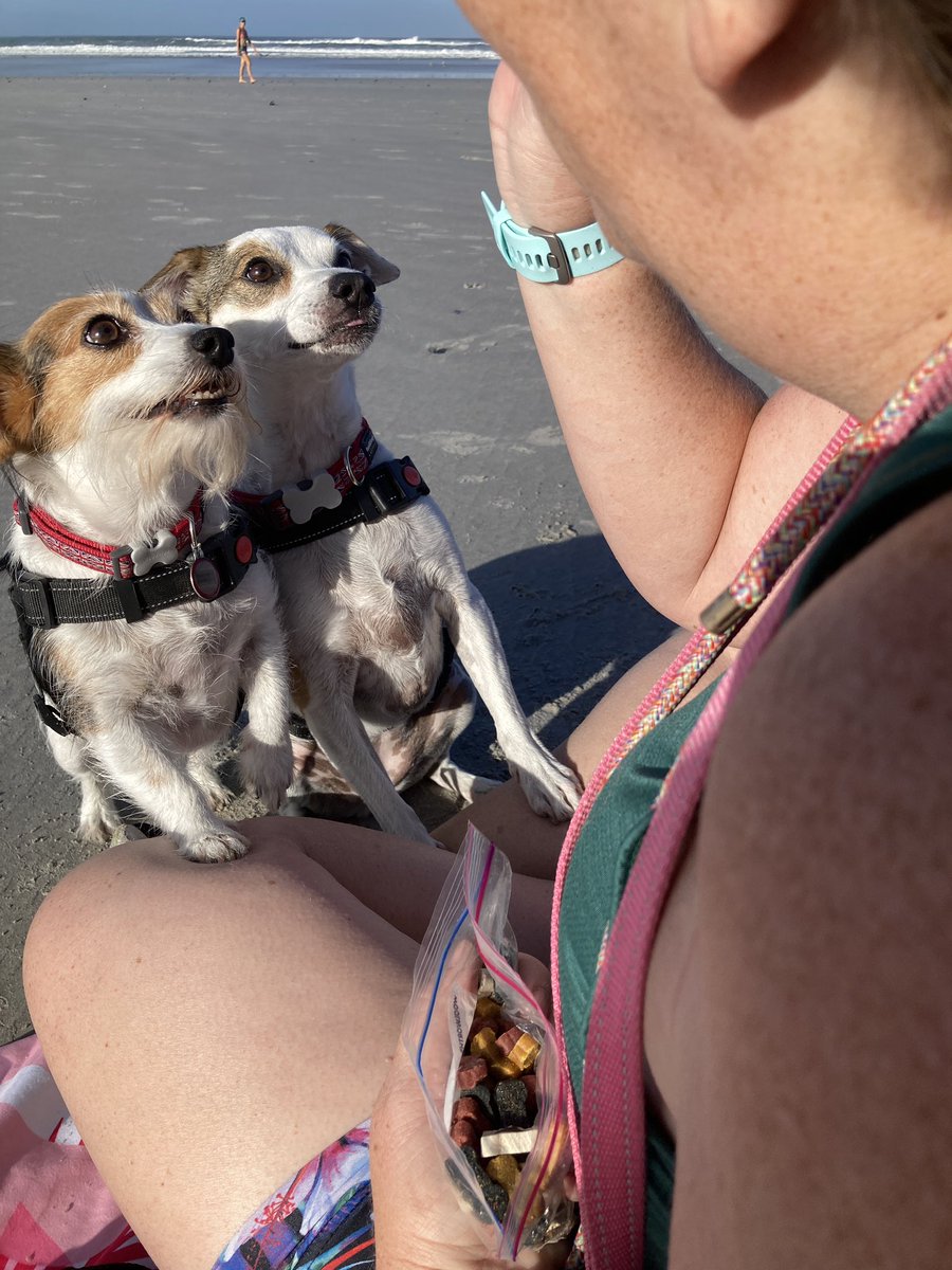 Gx3Gillian's tweet photo. @Vitality_SA @sterkinekor Even when I don’t feel like exercising the dogs insist on their walk so they see that I get my fitness points each week wether I want to or not #VitalityRewardsWednesday and #DiscoveryBestBank https://t.co/BlZYTrc7kM