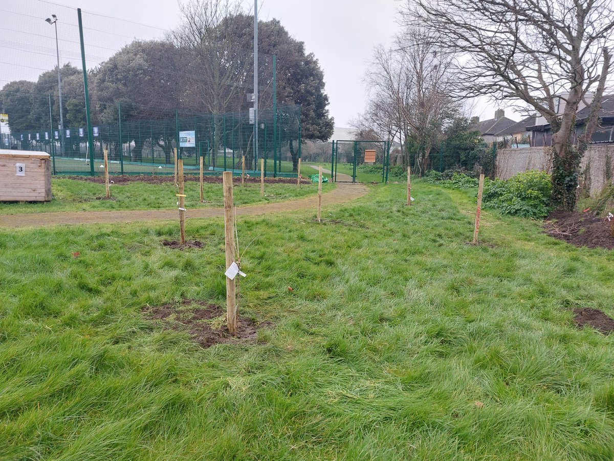 Bloomin Crumlin tweet media