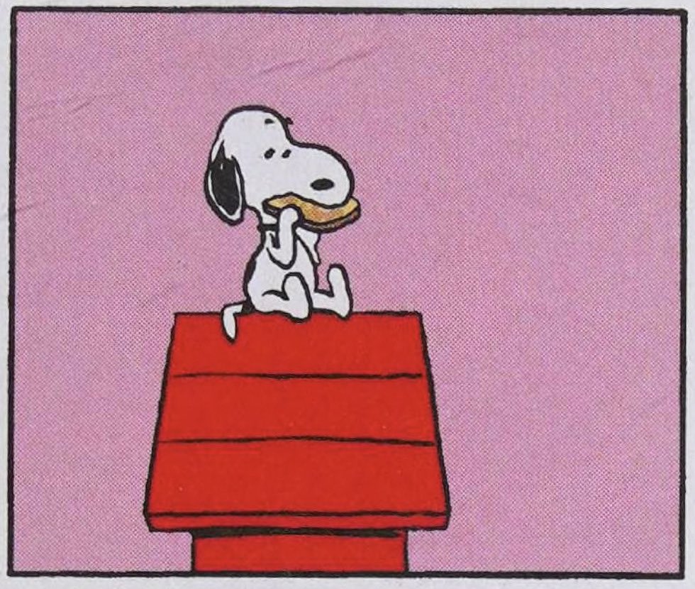 Peanuts Out of Context tweet media