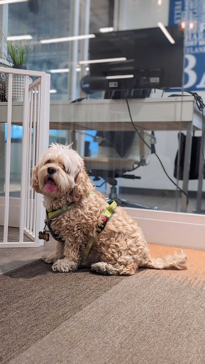 Spark Coworking - Baltimore tweet media