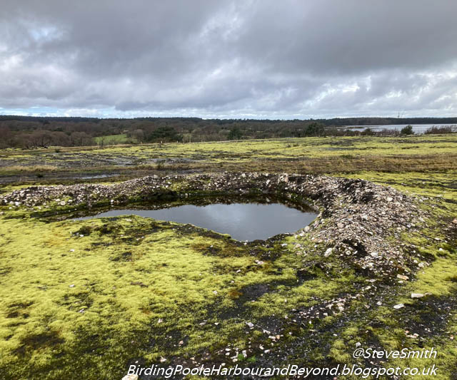 My latest Blog Post: some WW2 trenches that were exposed by the devasting fire at Studland nineteen months ago
…ingpooleharbourandbeyond.blogspot.com/2024/03/10-mar…