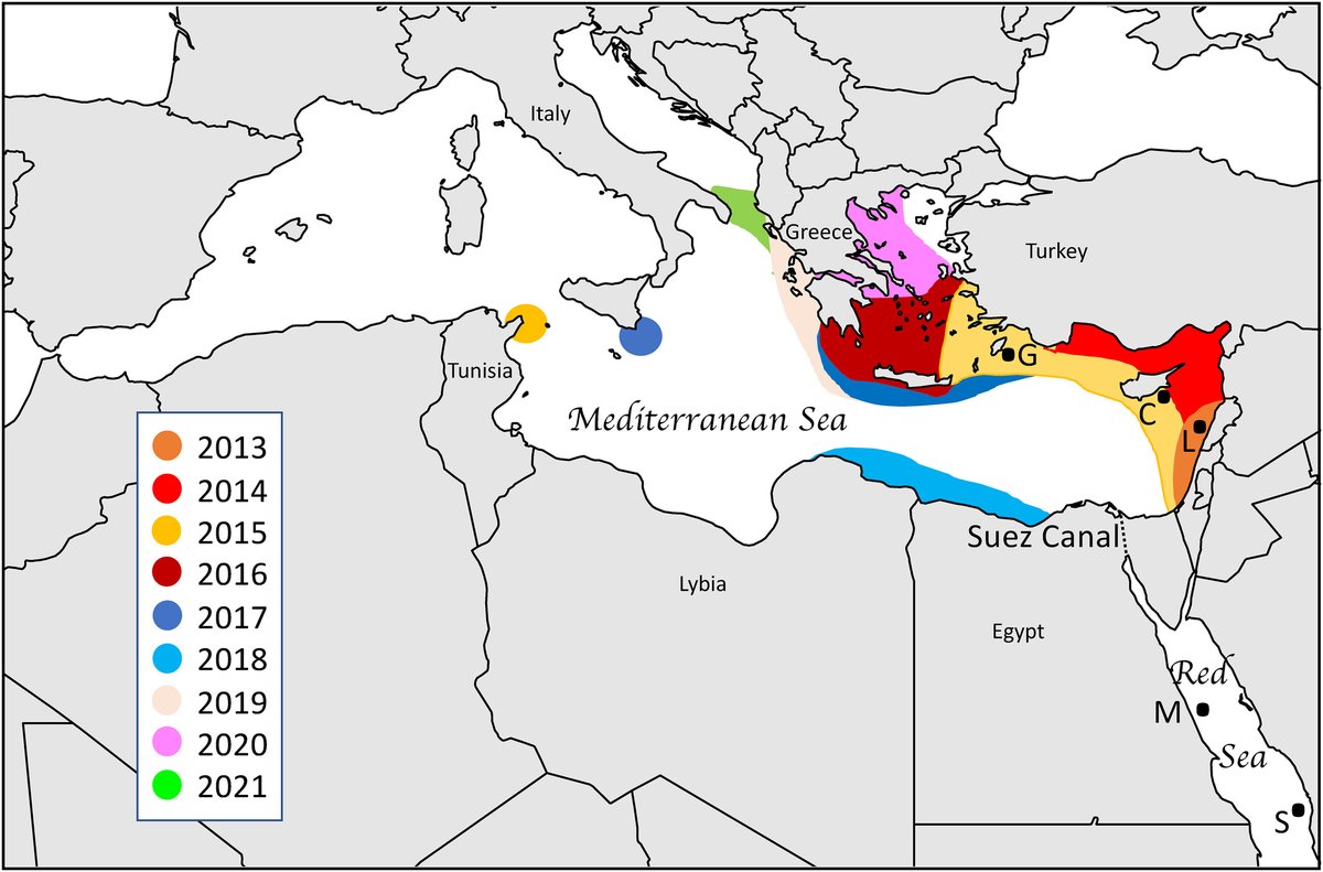 Marine and Environmental Research (MER) Lab tweet media