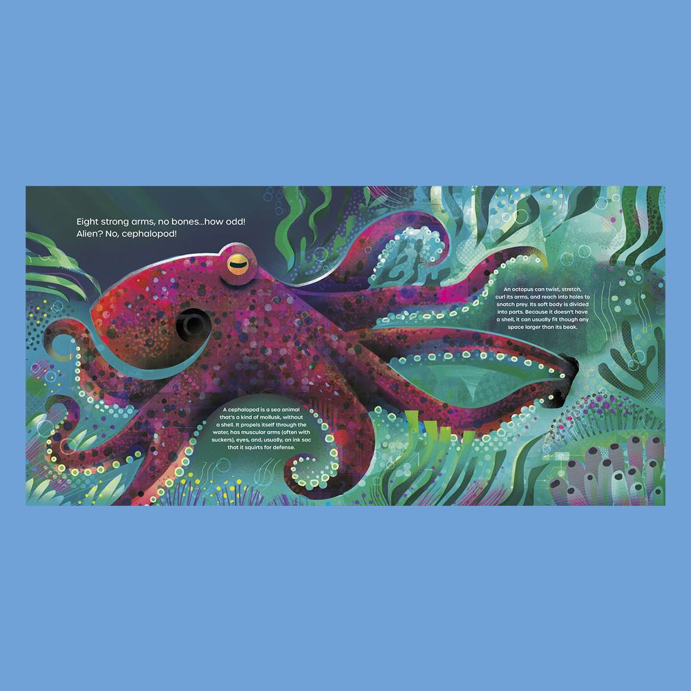We love these beautiful illustrations by Gareth Lucas for Octopus Acrobatics, written by Sue Fliess. This wonderful book explores the mysterious world of one of the most amazing creatures on earth. 🐙 ✨ 

<a href="/garethlucasart/">Gareth Lucas</a>
<a href="/AlbertWhitman/">Albert Whitman & Co.</a> 
<a href="/SueFliess/">Sue Fliess</a>