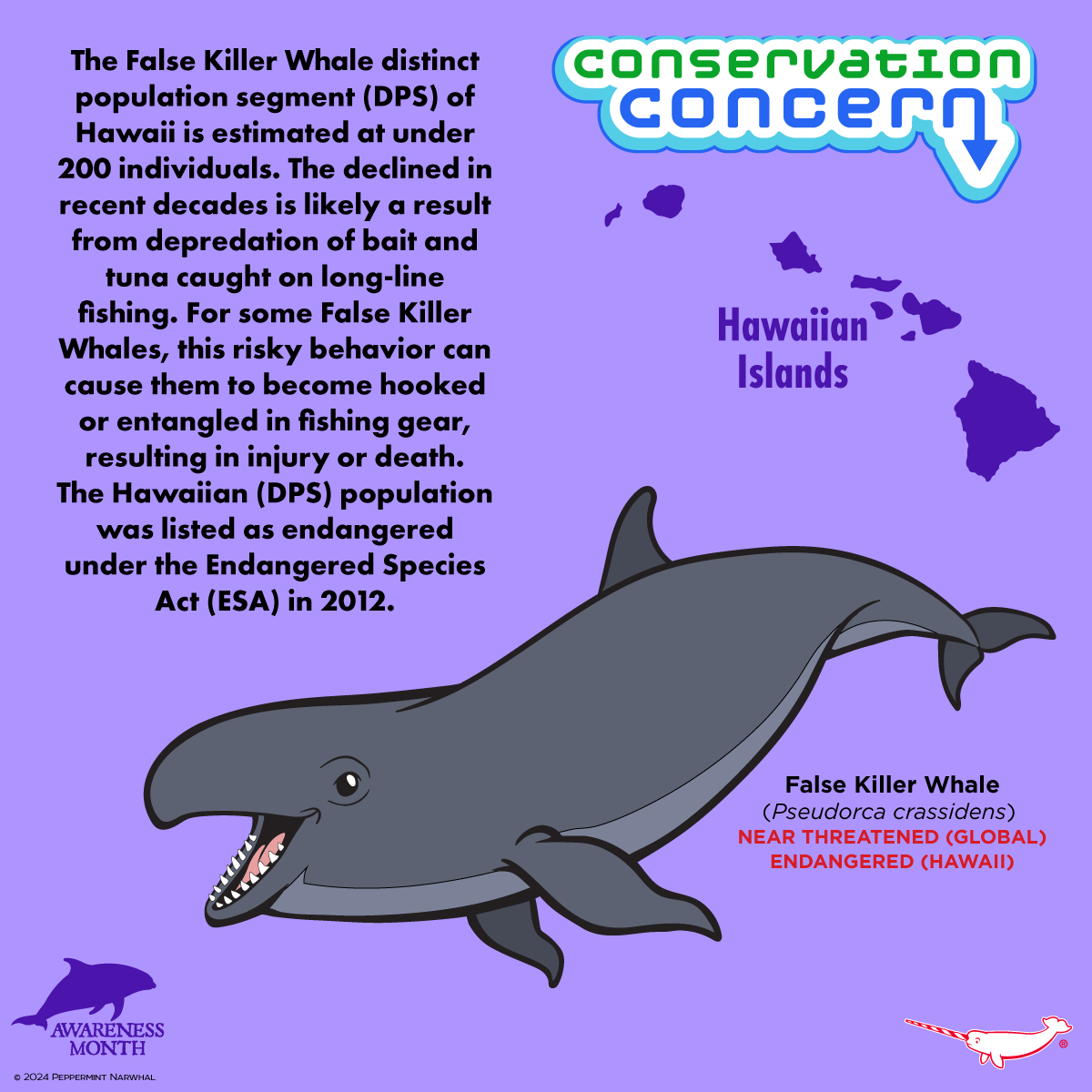 PepomintNarwhal's tweet photo. #ConservationConcern #FalseKillerWhale
#DolphinAwarenessMonth
Shop #PeppermintNarwhal: https://t.co/gqm4S4eKqn
#Pseudorca #DolphinAwareness #Dolphins https://t.co/xnMp7XJyr5