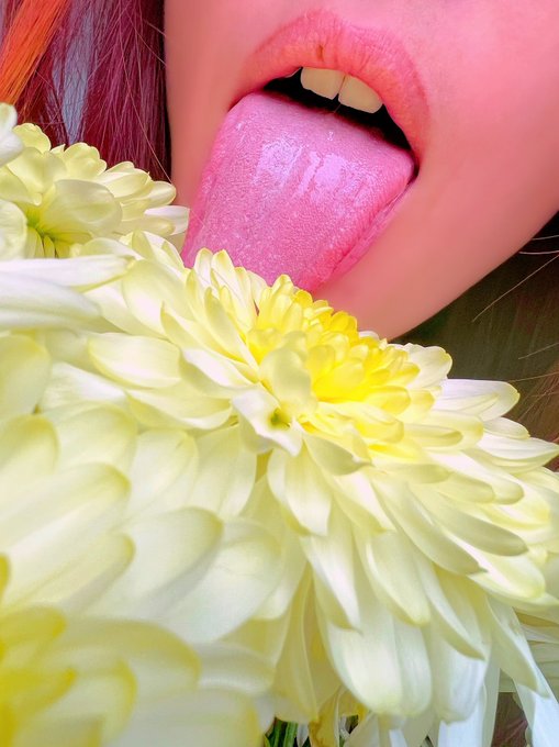 With each lick, it seemed that the mysterious intrigue adhered more and more to my thoughts, like flower