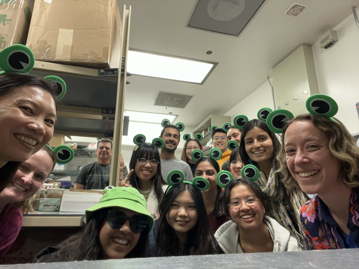 Dr. Rebecca (Becca) Tarvin 🐸 ☠️ 🐍 💚🪰 tweet media