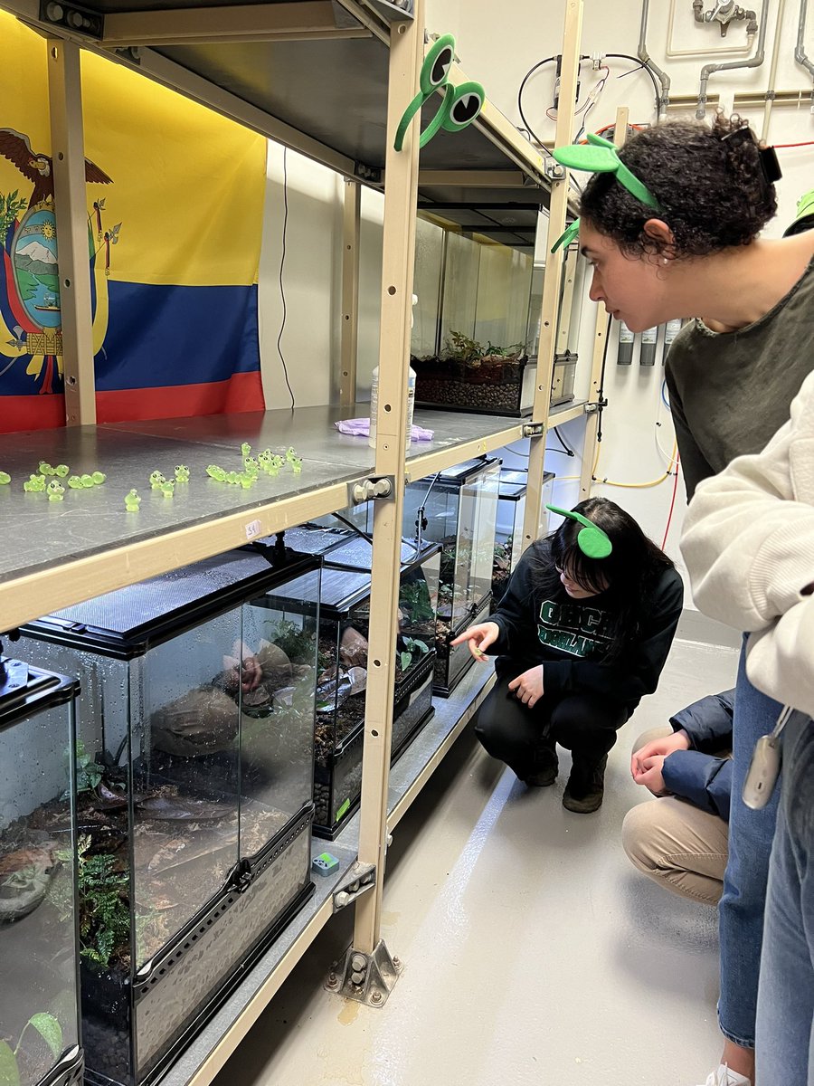 Dr. Rebecca (Becca) Tarvin 🐸 ☠️ 🐍 💚🪰 tweet media