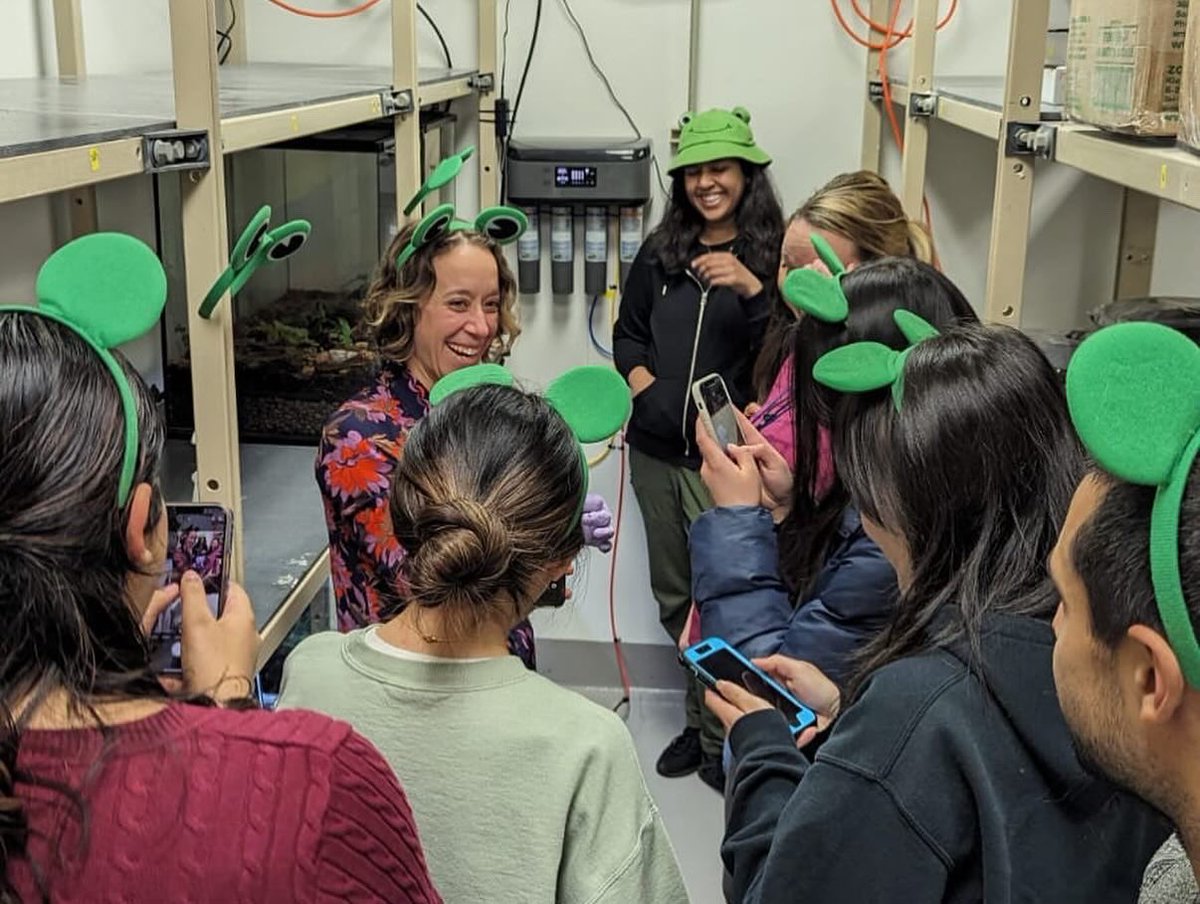 Dr. Rebecca (Becca) Tarvin 🐸 ☠️ 🐍 💚🪰 tweet media