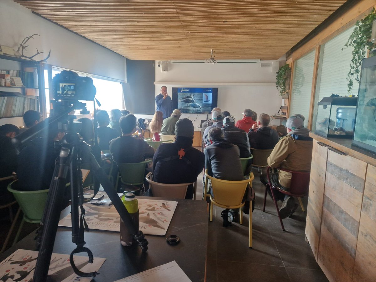 Balearia's tweet photo. #FundacióBaleària | 🤝 Hem col·laborat amb el III Curs d'ocells marins hivernats organitzat per @pelagicuscat.

Una activitat que ha tingut com objectiu aprofundir en aquells aspectes més complicats de la identificació de famílies d’ocells marins del Mediterrani. 👁‍🗨🌊 https://t.co/OVBwJSS9kP