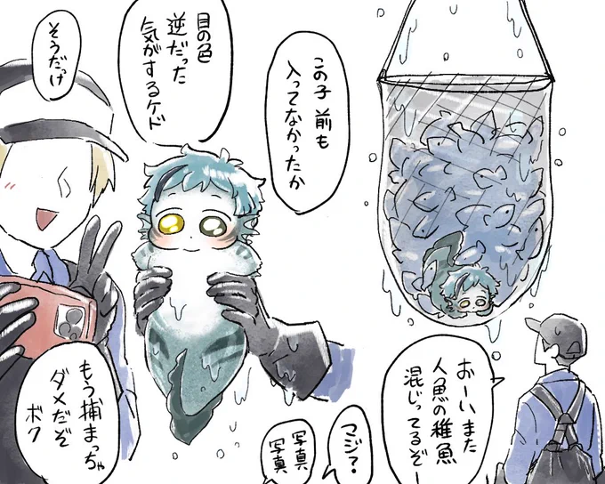 たまに稚魚が混じってる事があるので出会えたら幸運が訪れると漁師さんの間で話題に 