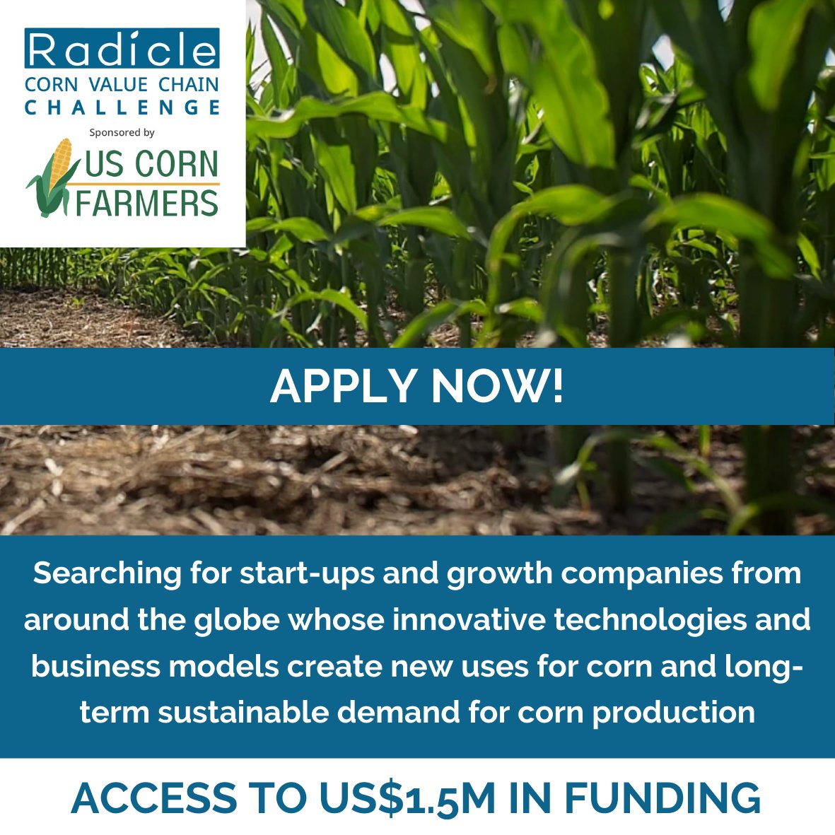 RadicleGrowth's tweet photo. "The Radicle Corn Value Chain Challenge sponsored by US Corn Farmers"

APPLY HERE: https://t.co/60pLckjHPv

Deadline to apply: April 12th, 2024.

@COgrown
@iowa_corn
@kscorn
@TheRealKyCorn
@NationalCorn https://t.co/visjes49AT