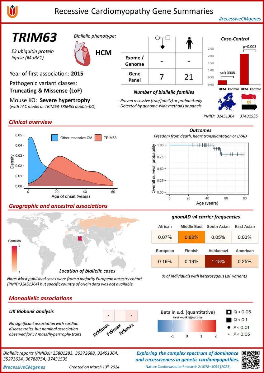 Our latest #recessiveCMgenes summary is for TRIM63, probably the most prevalent biallelic gene for hypertrophic cardiomyopathy and one with several unique characteristics. See the full details in our recent @NatureCVR study nature.com/articles/s4416…