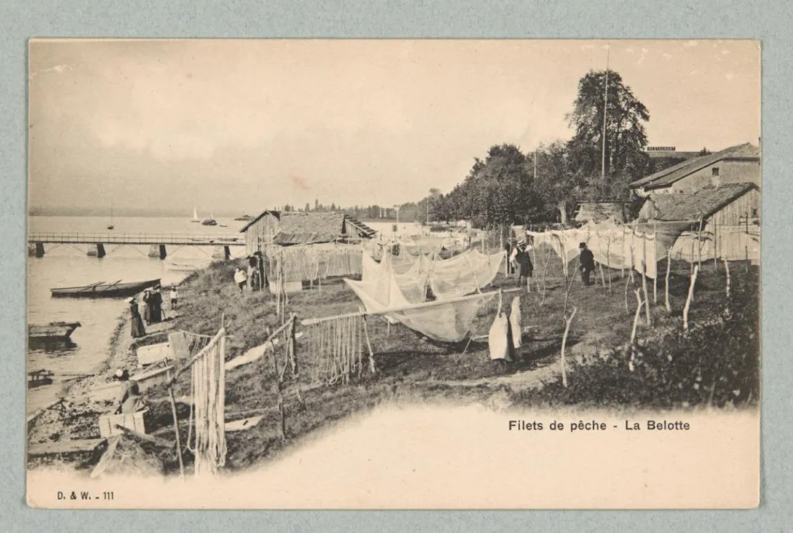 BGEgeneve's tweet image. Cologny, la Belotte: filets de pêche
Druz &amp;amp; Warnery, 1903

ow.ly/aRuT50QSnEJ 
Collection de cartes postales Joëlle de Syon

 #cologny #colognybeach #geneve #cartepostaleancienne #cartepostale #oldcards #postalcard