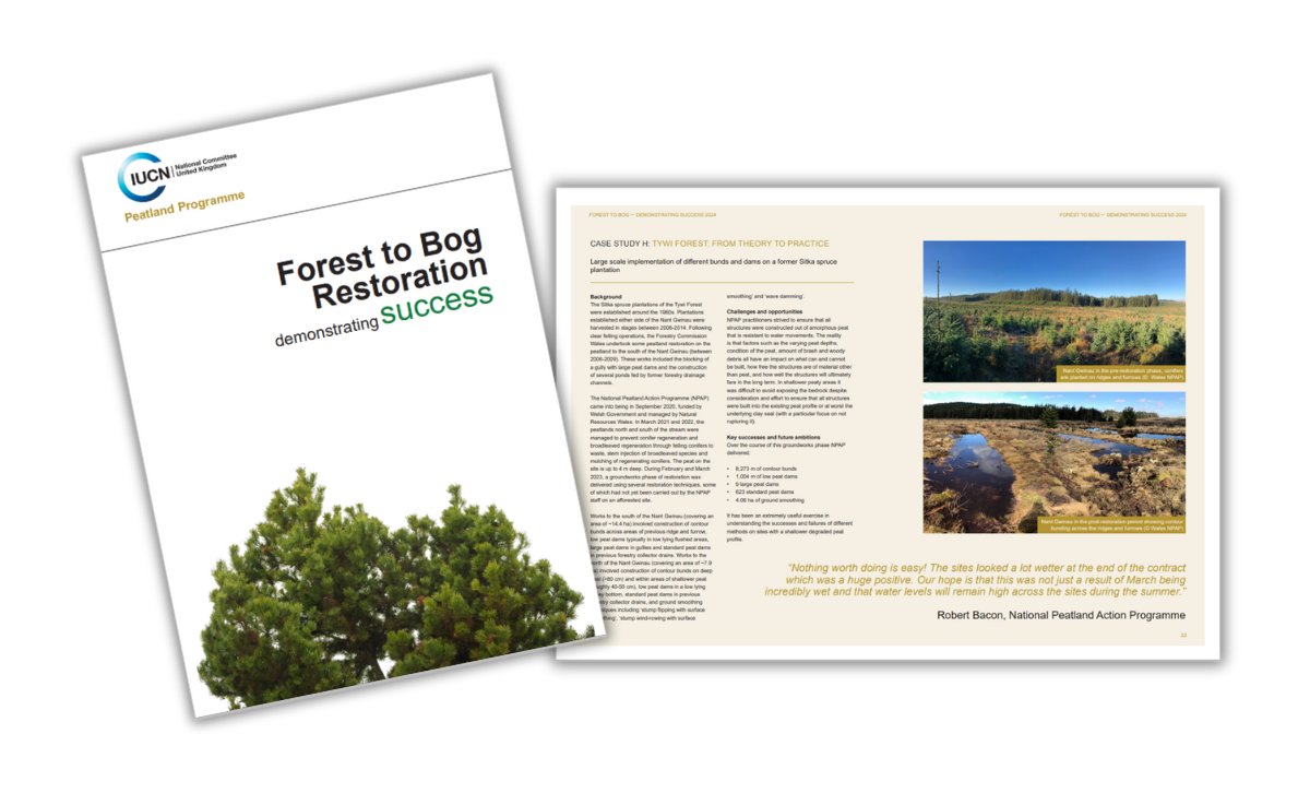 IUCNpeat's tweet photo. 📢#Peat event!

Join us for our #ForestToBog restoration webinar on Weds 17 April at 14:00 where we will be exploring case studies from our publication including celebrating key successes and future ambitions from across the UK.

Find out more 👇

https://t.co/JDXR3aOuDI https://t.co/ETtYzyauEn