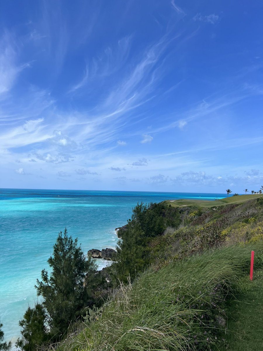 Camiko Smith 🇧🇲 tweet media