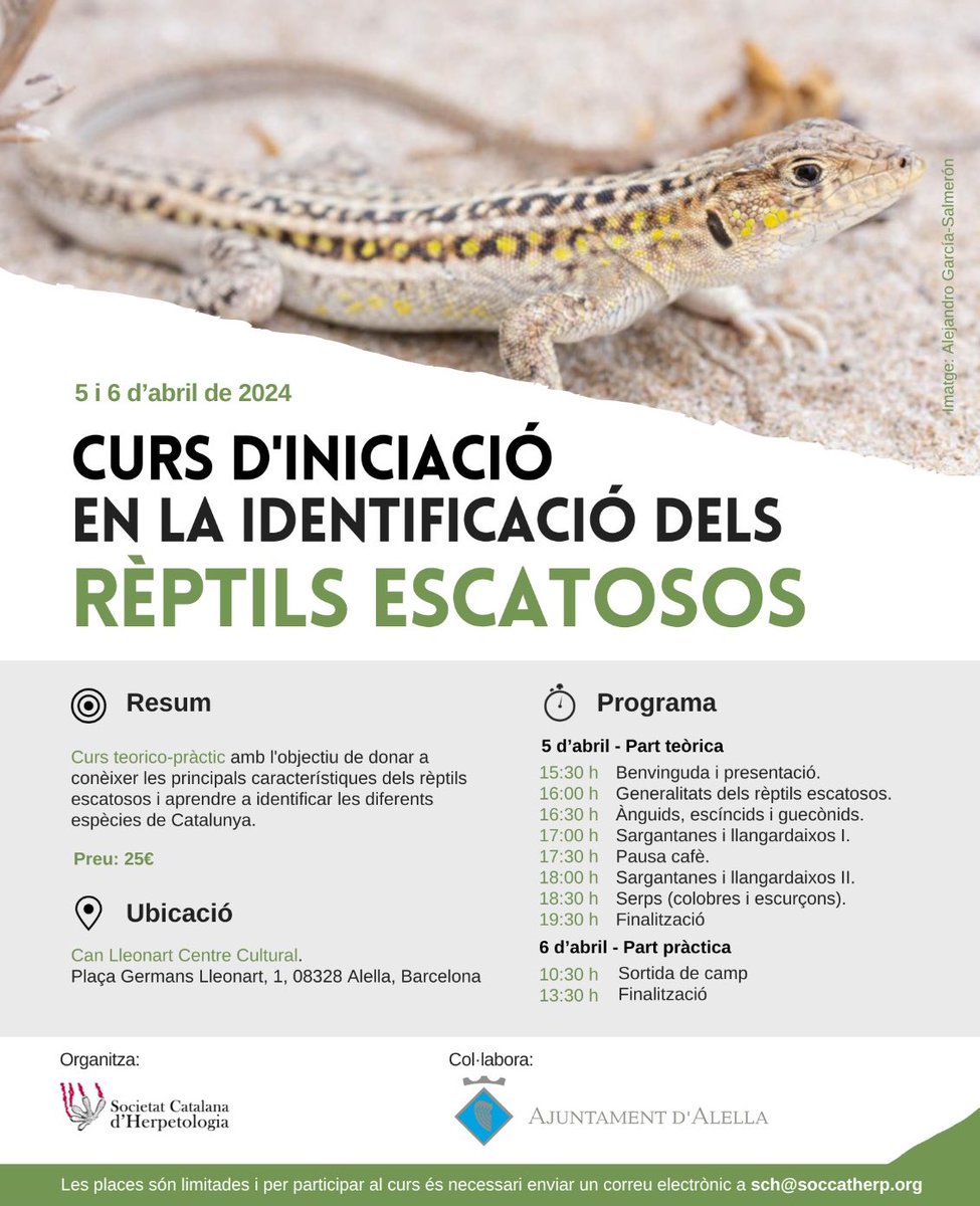 Anunciem un curs d’identificació de rèptils al Maresme (Alella)!🐍

Us convidem a venir a aprendre sobre rèptils el pròxim 5 i 6 d’abril.

👉🏾Aprendrem a identificat les més de trenta espècies de rèptils escatosos de Catalunya, així com la seva ecologia i biologia.