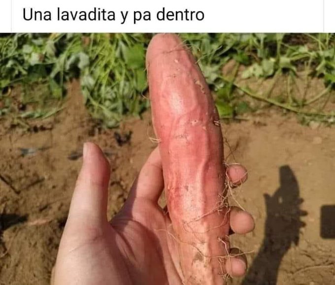 Jajaj vino venudo el camote 😅 https://t.co/qxjTXzmfSS<a href="/tag/cosplay"class="tags"><span>#cosplay</span></a><a href="/tag/cancun"class="tags"><span>#cancun</span></a><a href="/tag/erocosplay"class="tags"><span>#erocosplay</span></a><a href="/tag/cosplayergirl"class="tags"><span>#cosplayergirl</span></a>