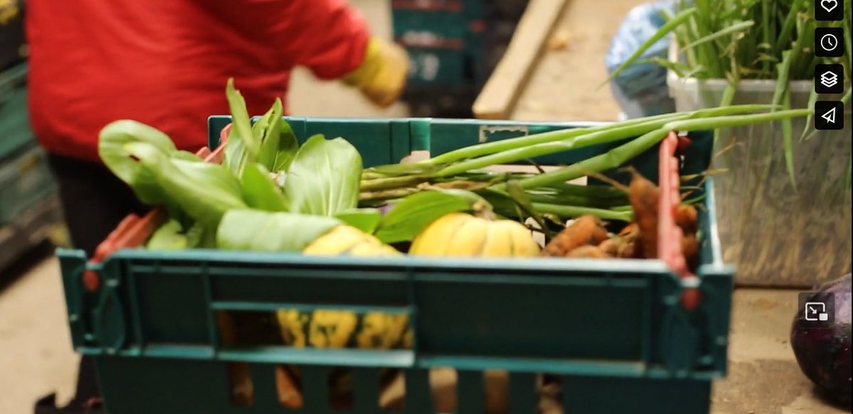 Check out this great video on skilling up more people to grow fruit and veg in Scotland from @nourishscotland's Strengthening Livelihoods programme highlighting peer-to peer learning. vimeo.com/914716365?shar… tinyurl.com/ah54xcn7