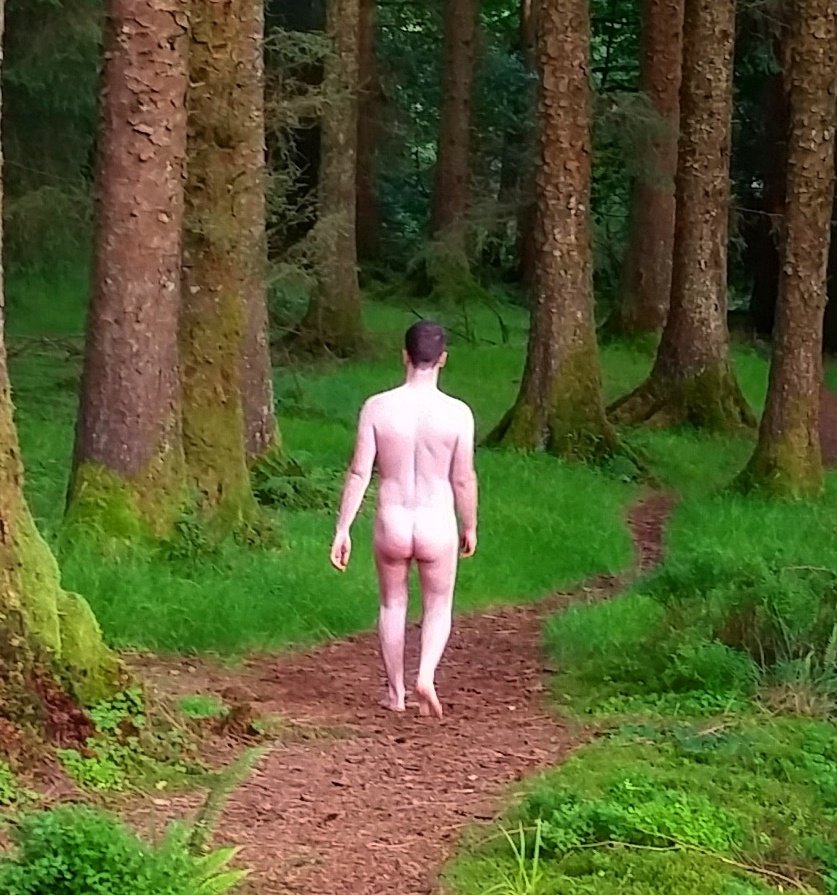 The Barefoot Explorer tweet media