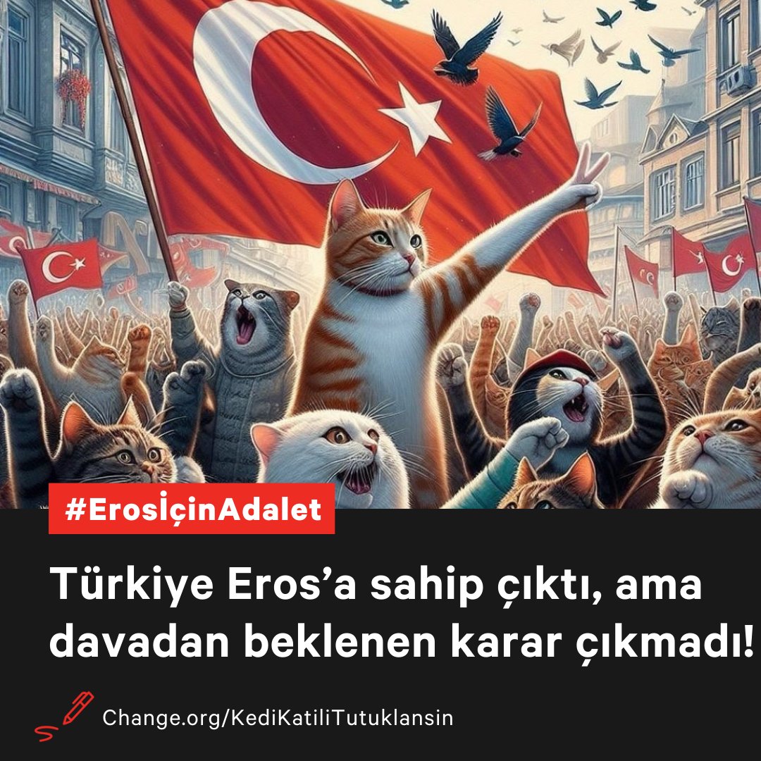 ChangeTR's tweet image. Tutuklama yok!
İyi hal indirimi var.

Eros'u işkenceyle öldüren İbrahim Keloğlan'a önce 3 yıl, ardından iyi hal indirimi uygulanarak 2 yıl 6 ay ceza ve yurt dışı yasağı verildi. 3 yılın altında olduğu için tutuklanmayacak.
#Erosicinadalet

Katile katil denir, yeri cezaevidir.…