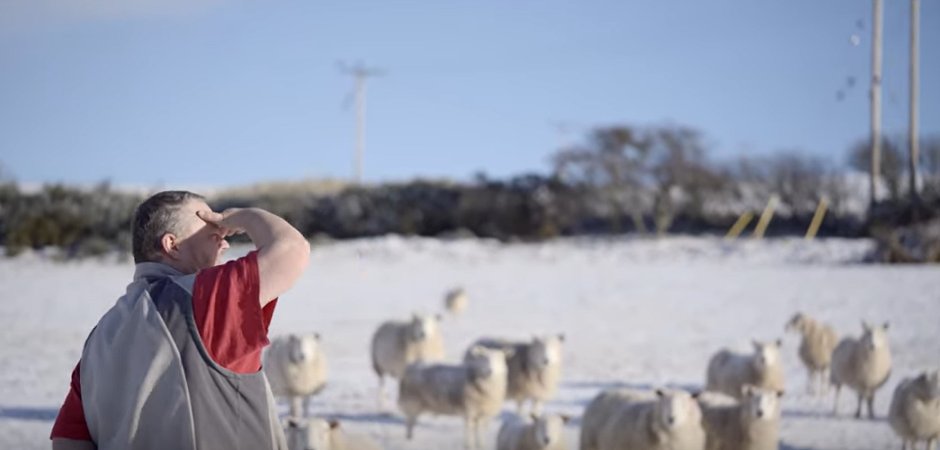 Check out this great video on wool as a high value crop from @nourishscotland's Strengthening Livelihoods programme highlighting peer-to peer learning. youtube.com/watch?v=E4y4gi… tinyurl.com/ah54xcn7