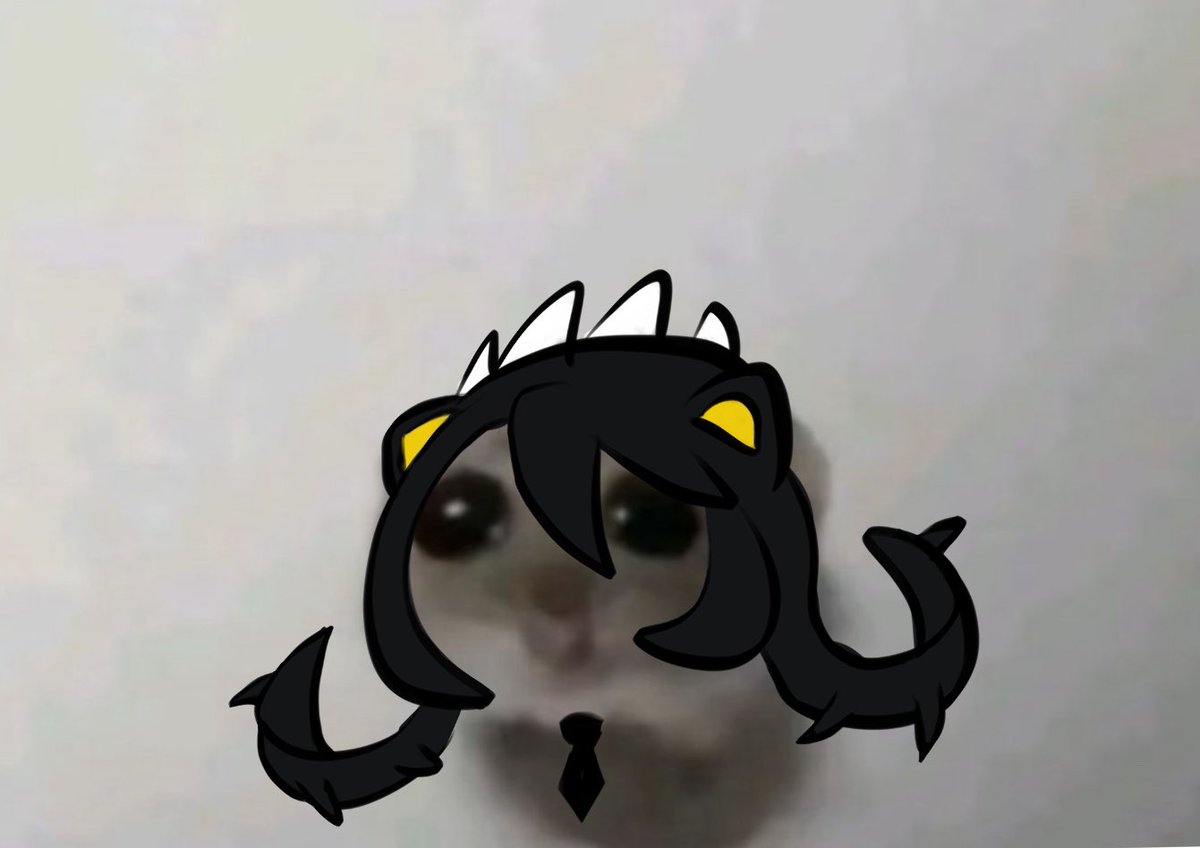 sorry for  being a bit of a disappointment