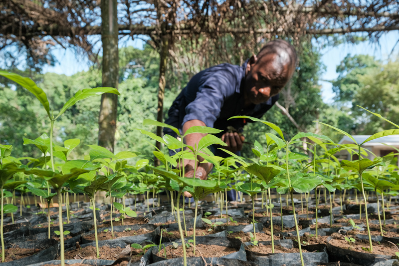The RTRP-Seed Project🌱 Building on decades of research and practical experience in tree-planting for landscape restoration, the Right Tree in the Right Place for the Right Purpose project will enhance landscape restoration in Africa. 👉 bit.ly/3TdW2EA @iki_germany