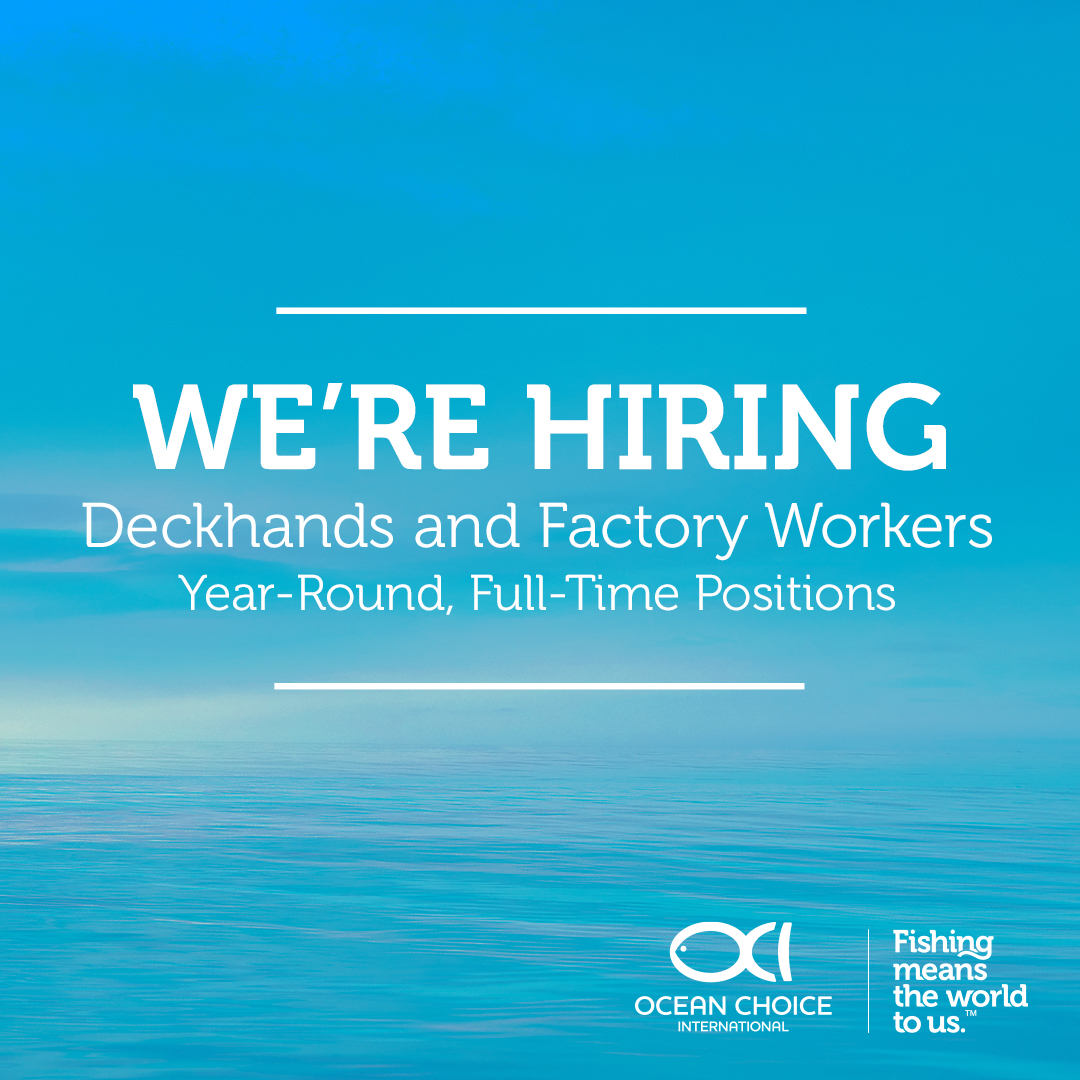 We need strong, capable, and motivated workers to join one of Atlantic Canada’s most diversified seafood companies. If you have experience as a Deckhand or a Factory Worker, or are interested in starting a career with us, explore the full details here: oceanchoice.com/careers/