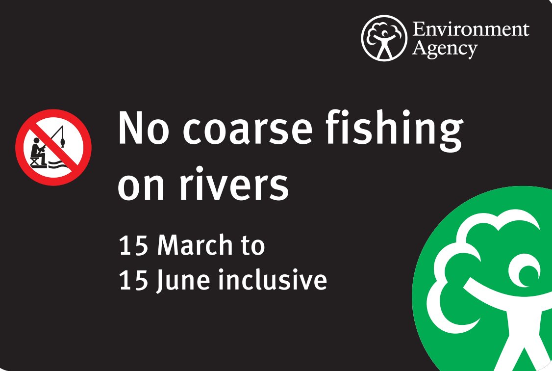 🚫🎣The coarse fish close season run from today until June 15. 
This is a vulnerable time for our fish across all life stages - eggs, juveniles &amp; adults.  
Help protect the🐟, report any incidents on our 24-hour hotline 0800 80 70 60
#CloseSeason #OperationClampdown
<a href="/EnvAgencySE/">Environment AgencySE</a>