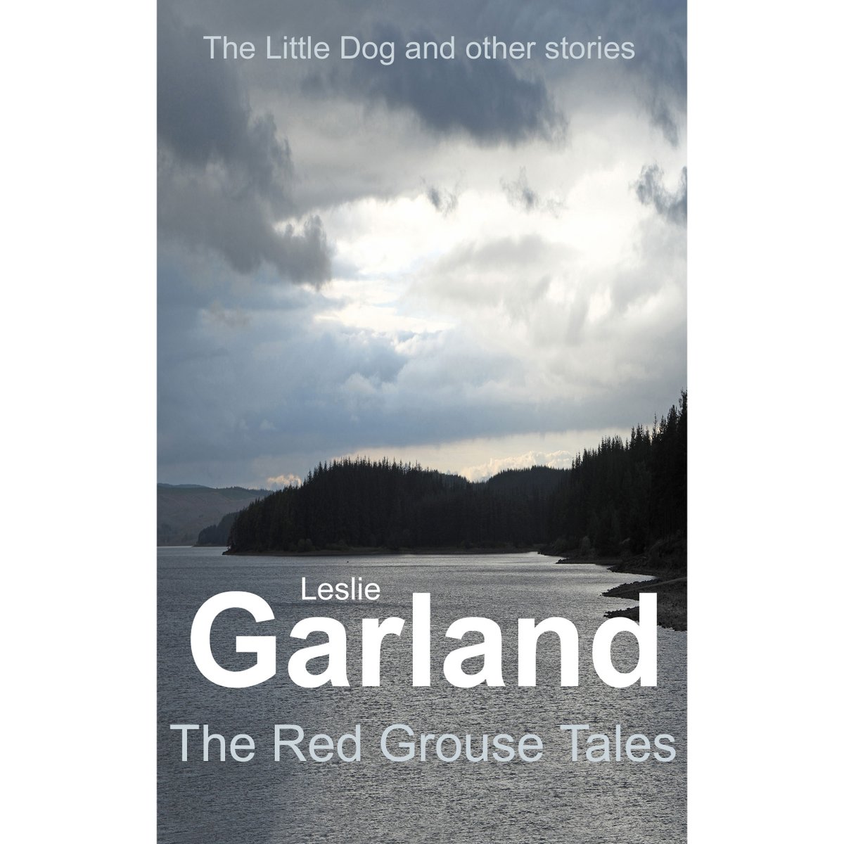 The Red Grouse Tales – The Little Dog and other stories.
“This is a modern-day allegory represented at its best.”
Available from:  amazon.com/s?k=the%20red%…...
and FREE on Kindle Unlimited.
Goodreads; goodreads.com/author/show/14…
Web site: lesliegarland.com