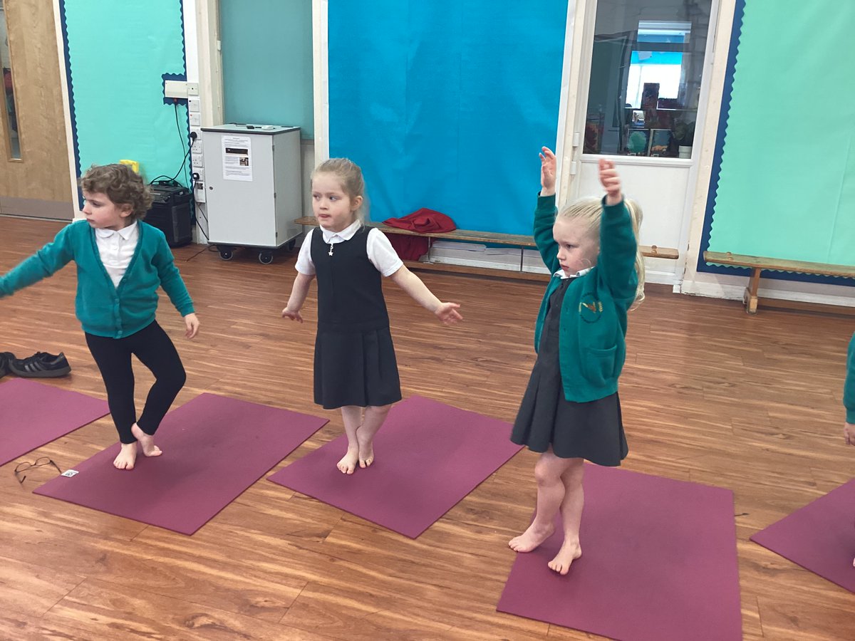 Overfields Primary tweet media