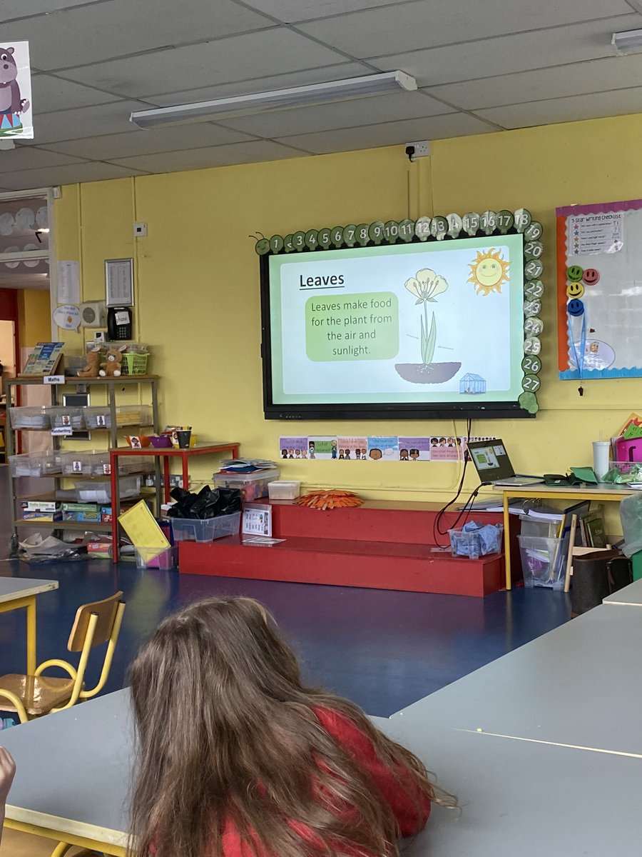 OReillysclass's tweet photo. In science we have been learning all about living things, plants, how they grow and all the different parts of a plant. We labelled the plant and even planted seeds! We have been looking after our plants everyday! 🌱 https://t.co/1CDFwkYXv3