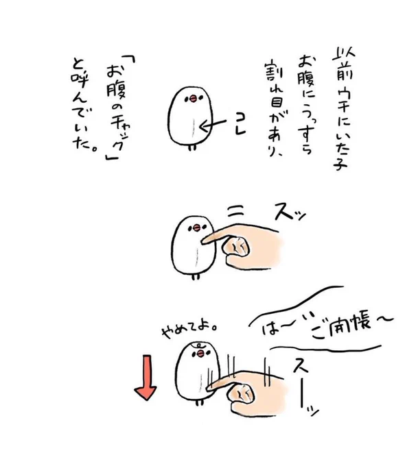 明日も20〜21時にイラスト投稿します🐦
『お腹のチャック』(再掲) 
