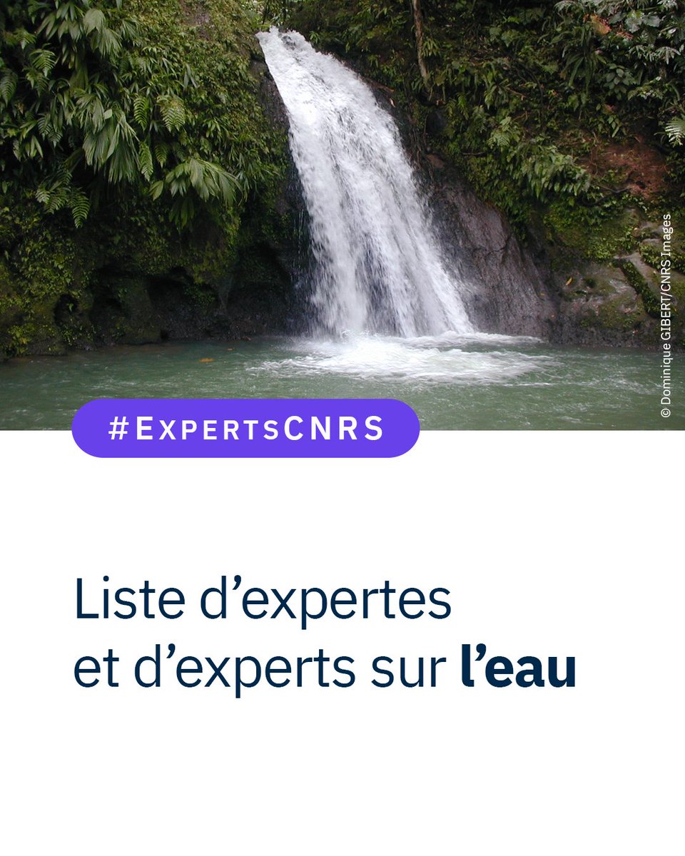 #ExpertsCNRS 🔎 Journalistes, à l'occasion de la journée mondiale de l'eau 💦 (22/3), le service presse du <a href="/CNRS/">CNRS 🌍</a> vous propose une liste multithématique de  spécialistes sur l’eau douce, dont les domaines de recherche sont pour la plupart transversaux.

👉 cnrs.fr/fr/presse/list…