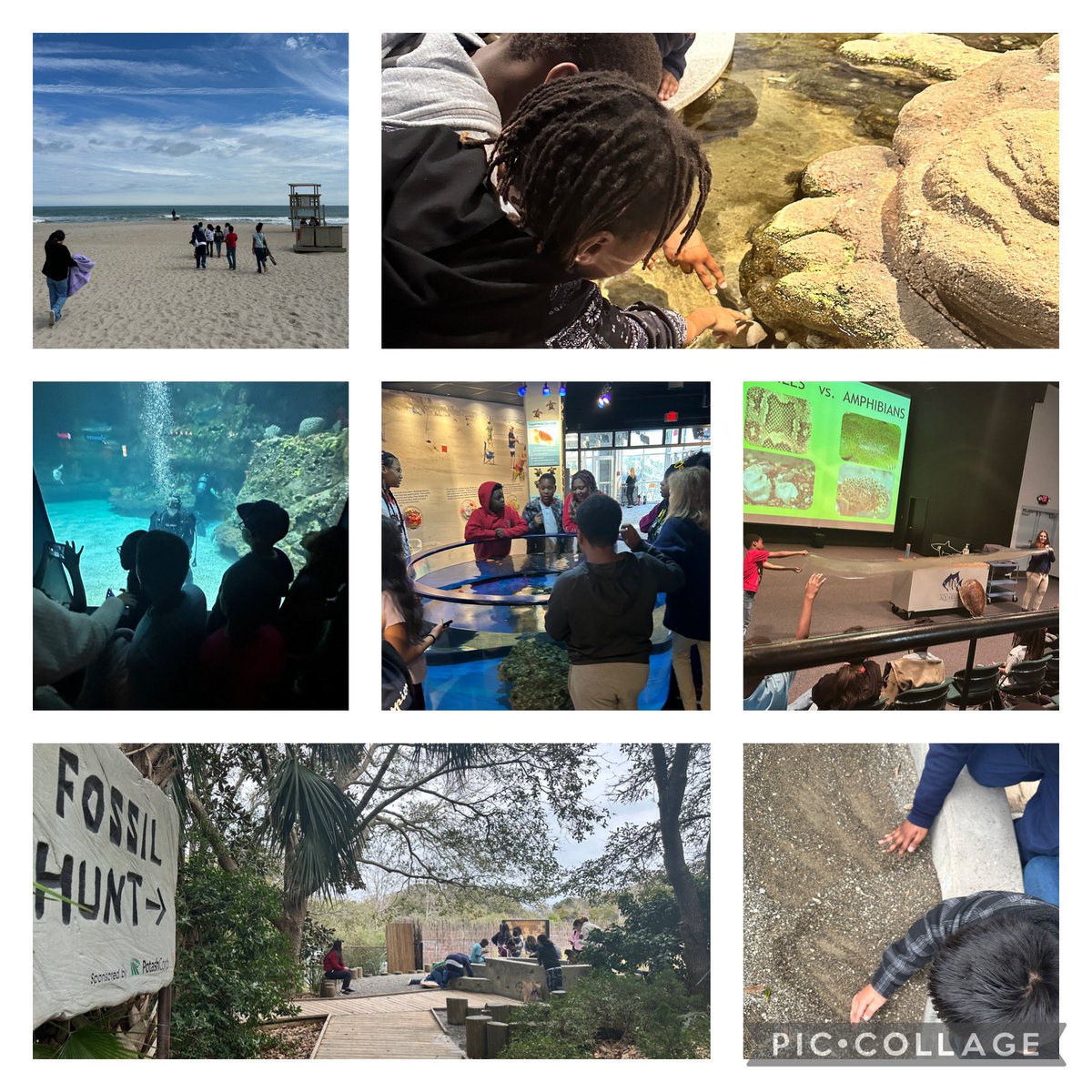 CC Spaulding (@cc_spaulding) on Twitter photo Thank you to the NC Aquarium Scholars and Youth Outdoor Engagement Commission for helping our 5th graders go to the @NCAquarium and hike at Fort Fisher.
#KeepingAcademicsFirst
#WatchUsSOAR
#WeAreDPS
<a href="/DurhamPublicSch/">Durham Public Schools</a> @drstacydstewart <a href="/AKAFerrell_EdD/">Dr. Kimberly Ferrell</a> Thank you to the NC Aquarium Scholars and Youth Outdoor Engagement Commission for helping our 5th graders go to the @NCAquarium and hike at Fort Fisher.
#KeepingAcademicsFirst
#WatchUsSOAR
#WeAreDPS
<a href="/DurhamPublicSch/">Durham Public Schools</a> @drstacydstewart <a href="/AKAFerrell_EdD/">Dr. Kimberly Ferrell</a>