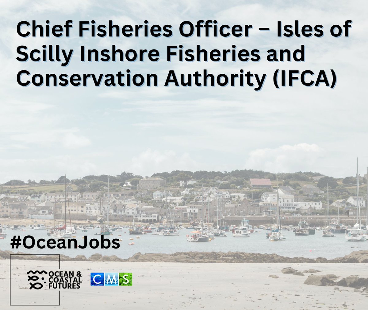 #job opportunity: Chief Fisheries Officer – @IoSIFCA ▪️Closes: 1 April ▪️Location: St Mary's, Isles of Scilly ▪️Salary: £44,428 – £47,420 ▪️Full details here: cmscoms.com/?p=38271 ❗Sign up for our #OceanJobs alerts 👉 bit.ly/3MiyV7i #Vacancy